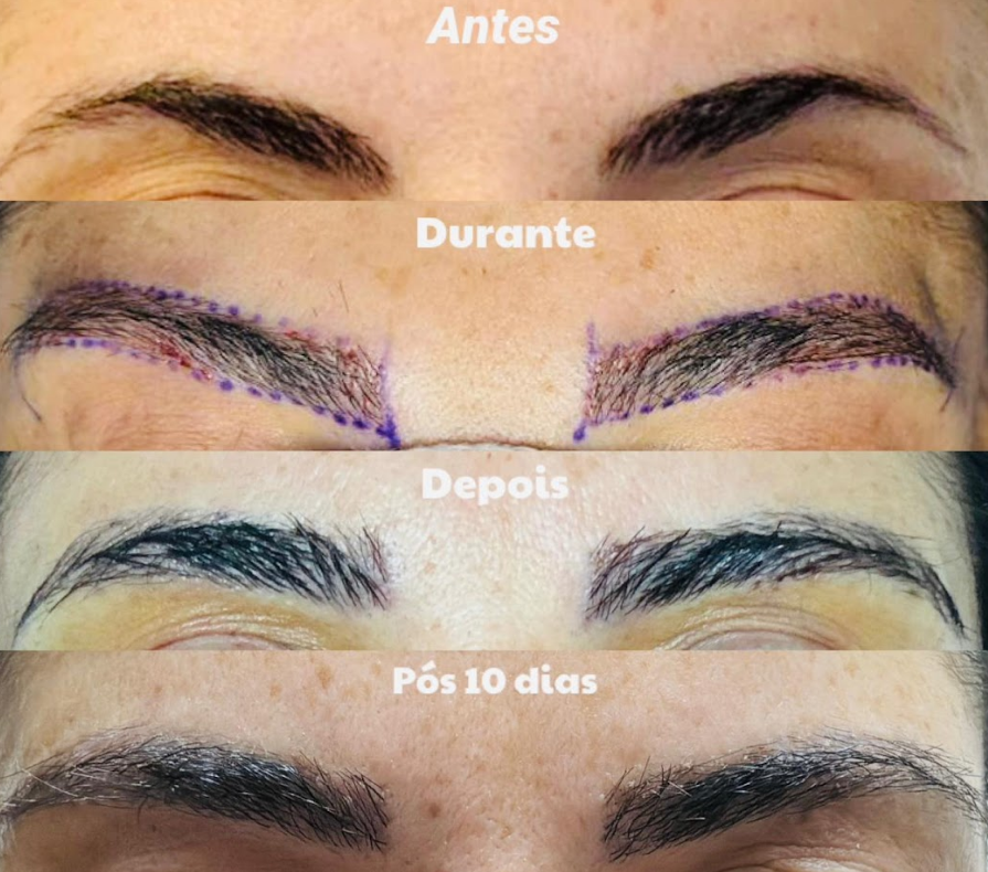 imagem_2026-02-11_134456500